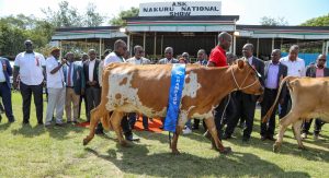 449819420_1044087260417933_4948182052088636095_n