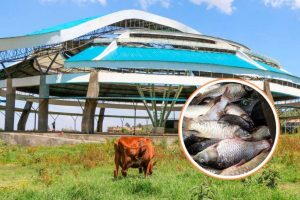 487483484_1089734846517665_4061029095752035222_n