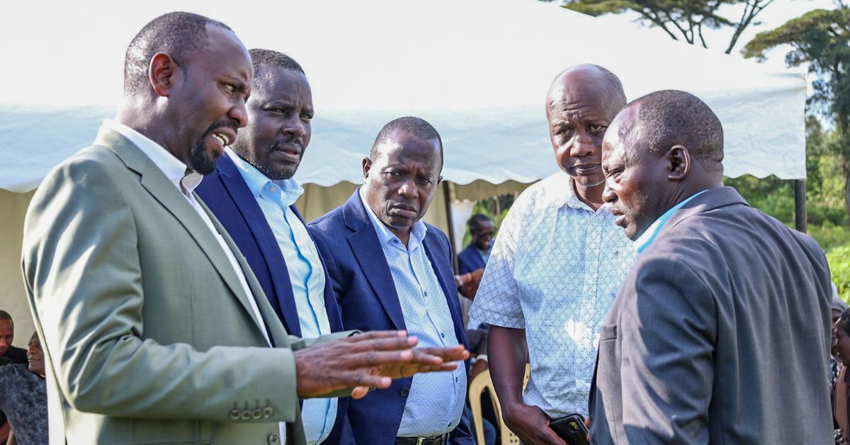 to illustrate the article