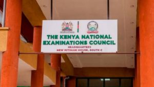 Untitled design (12)