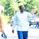 Untitled design (14)