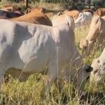 Untitled design (11)