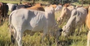 Untitled design (11)