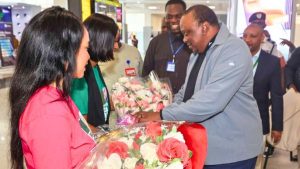 Untitled design (14)