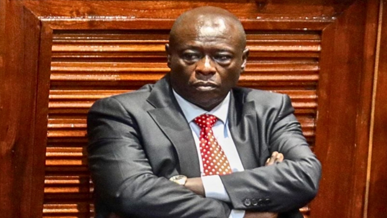 Untitled design (12)