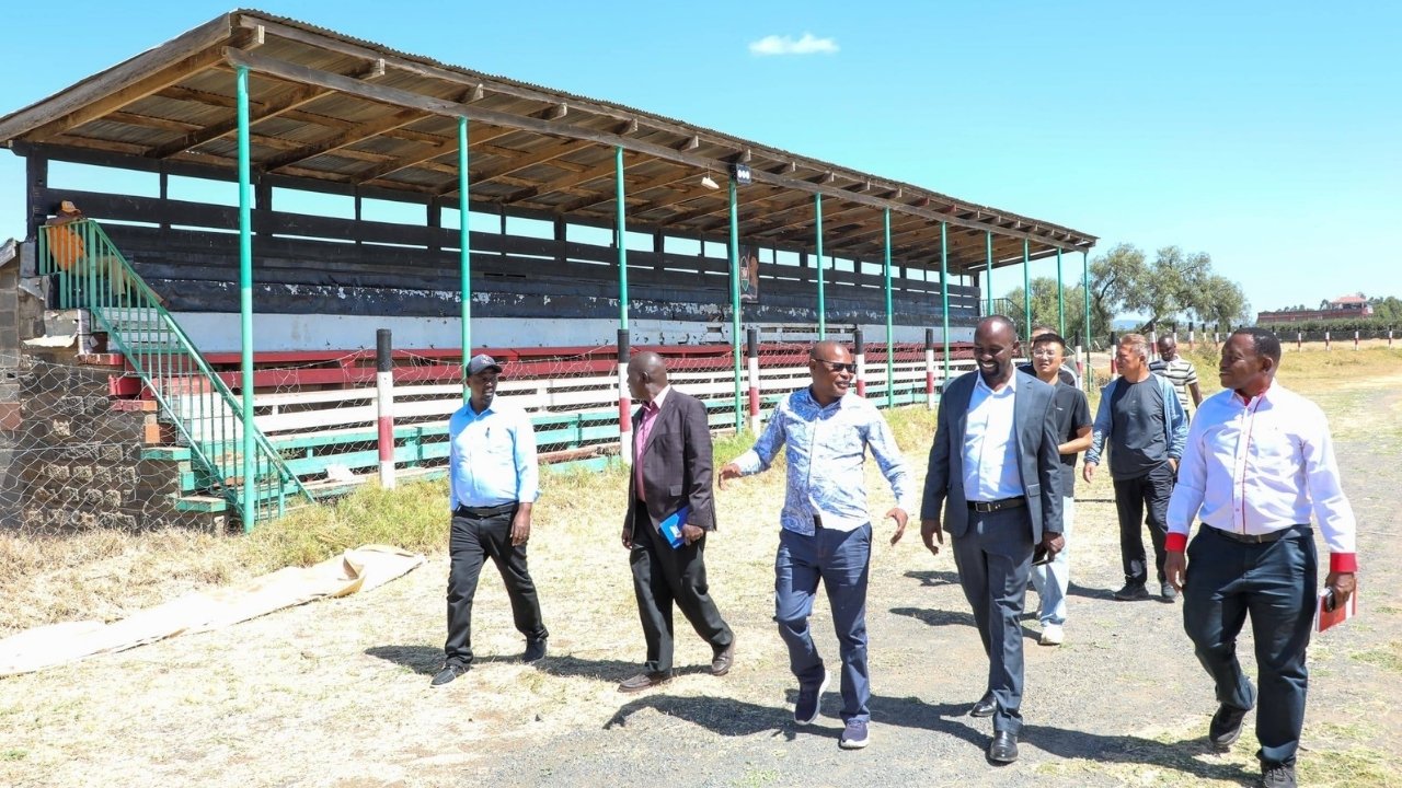 Copy of Untitled Design (7)