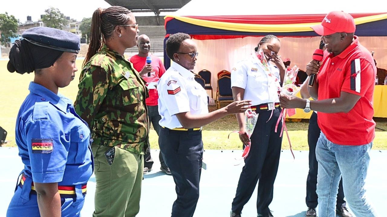 Untitled design (15)