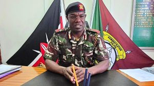 Untitled design (16)