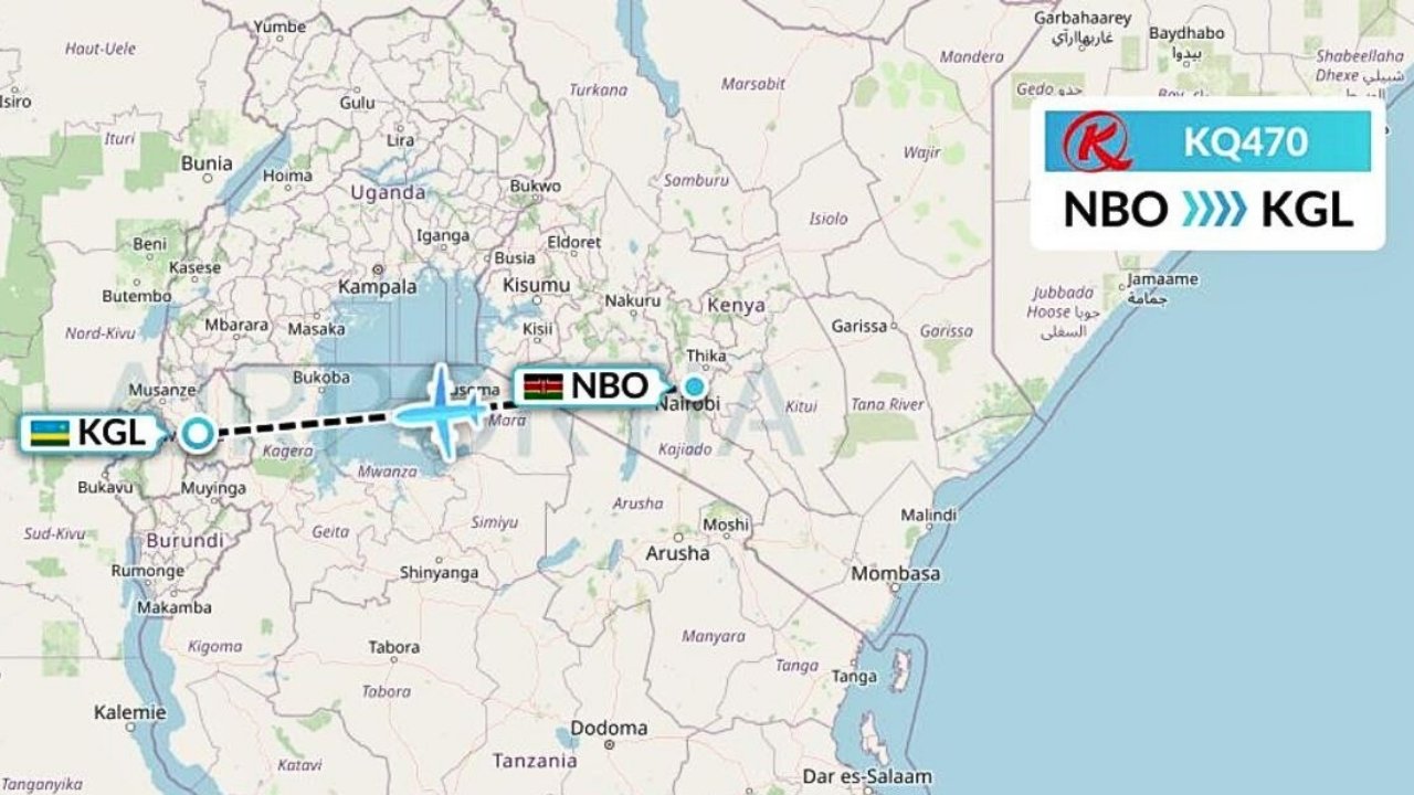 Untitled design (17)