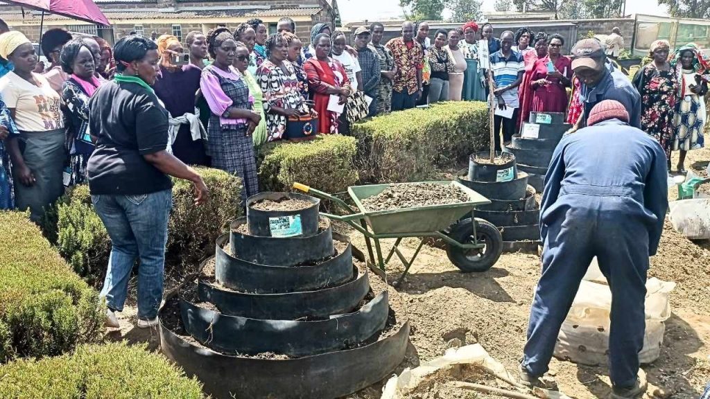 Untitled design (20)