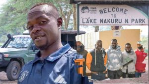 Untitled design (22)