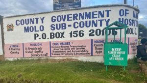 Untitled design (24)