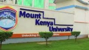 Untitled design (27)