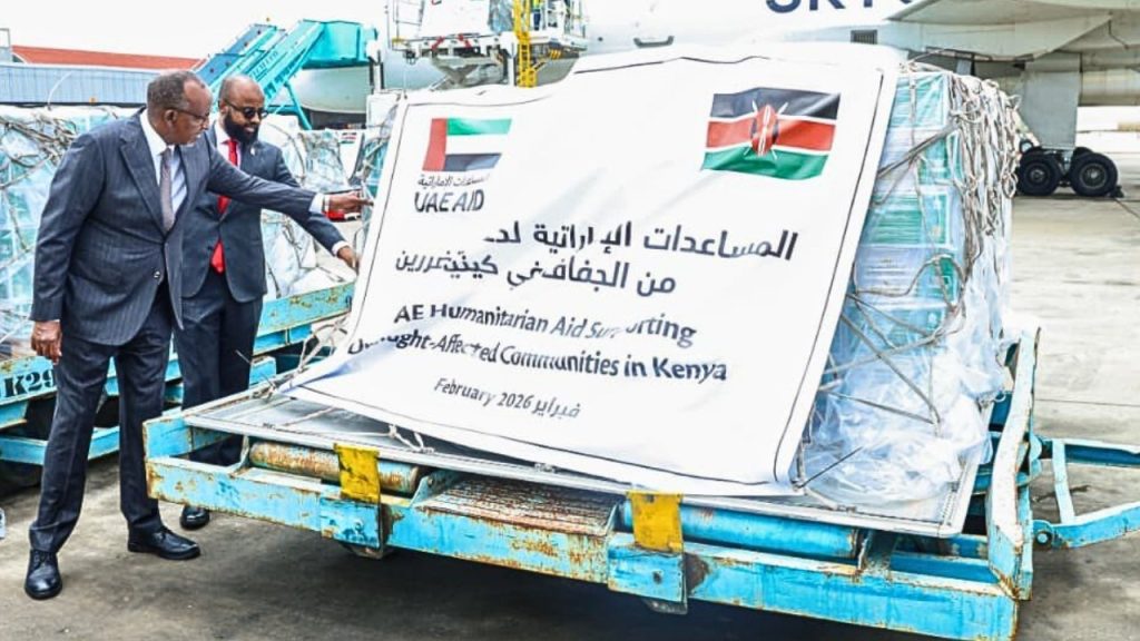 Untitled design (34)