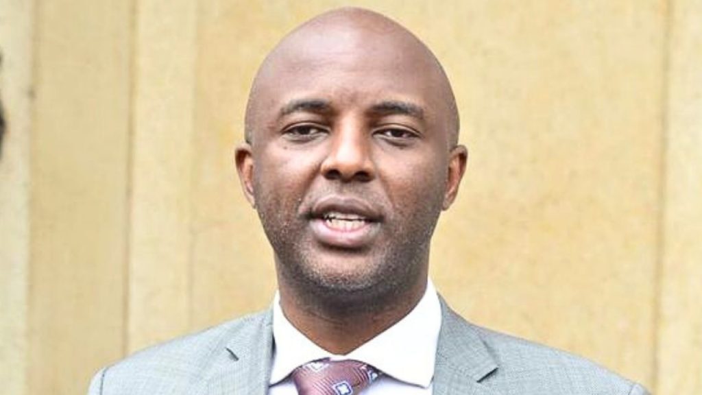 Untitled design (35)