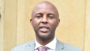 Untitled design (35)