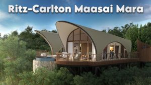 Untitled design (37)