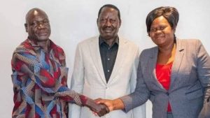 Untitled design (43)