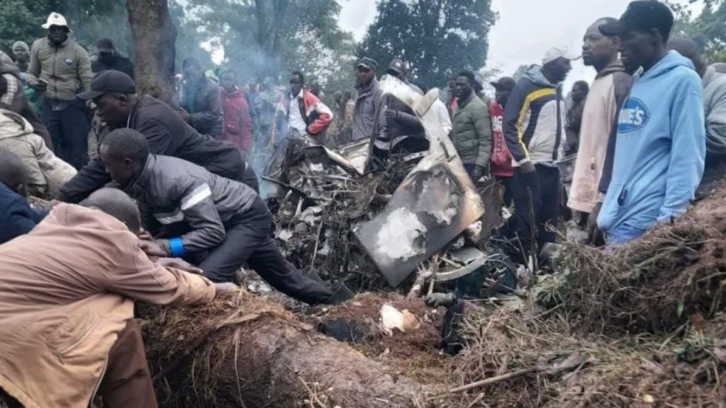 Untitled design (48)