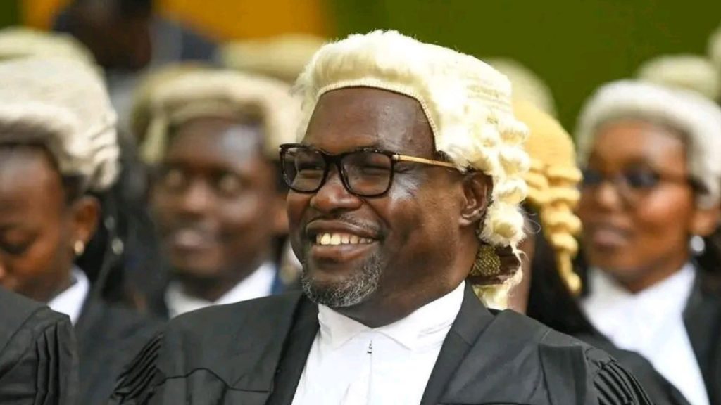 Untitled design (51)