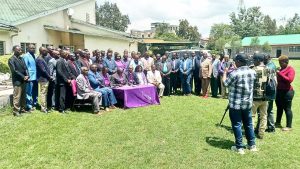 Untitled design (18)