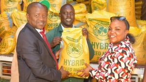 Untitled design (24)