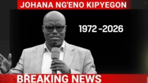 Untitled design (52)