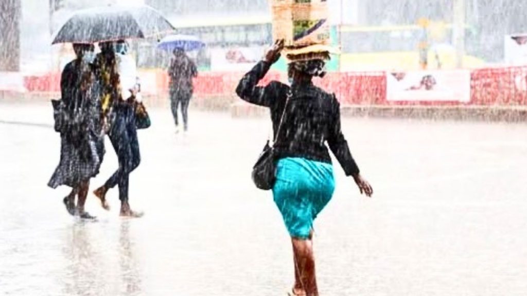 Untitled design (56)