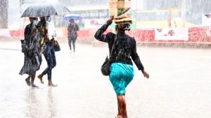 Untitled design (56)