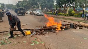 Untitled design (14)