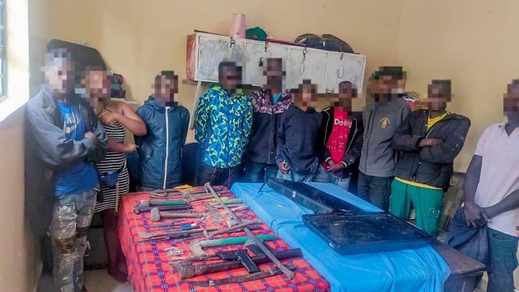 Untitled design (17)